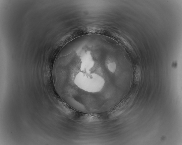 X0000100470569200806131129