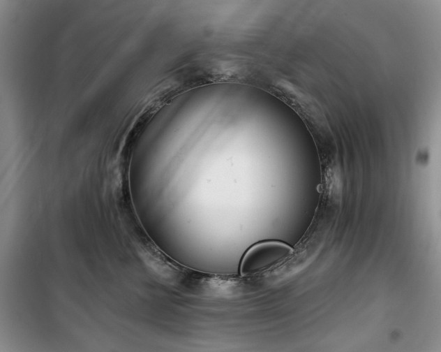 X0000100470570200806131129