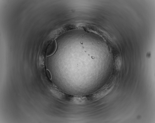 X0000100470571200806131129