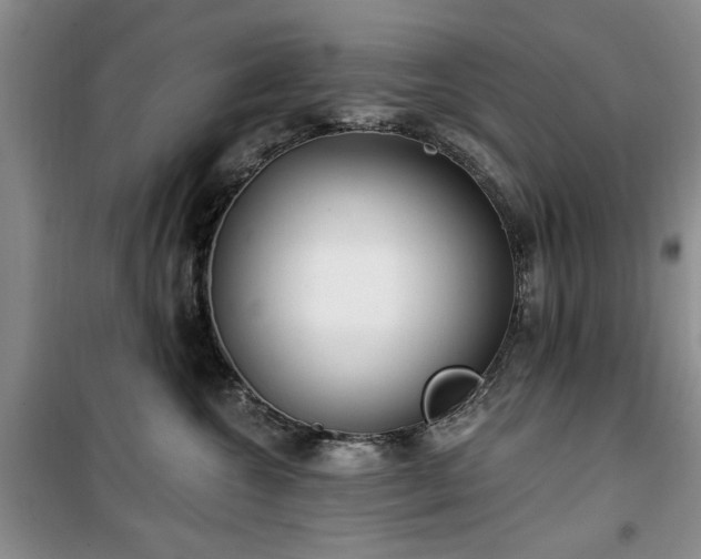 X0000100470572200806131129