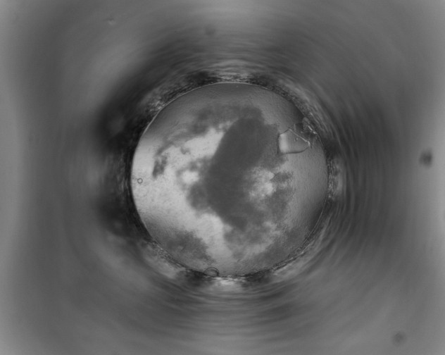 X0000100470573200806131129