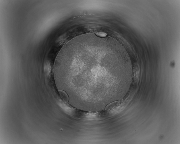 X0000100470574200806131129