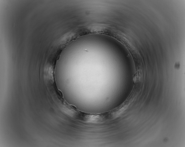 X0000100470575200806131130