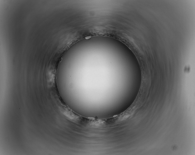 X0000100470576200806131130