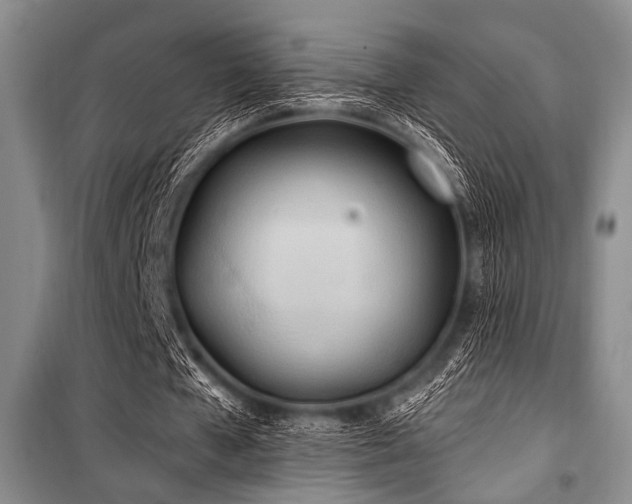 X0000100470577200806131129