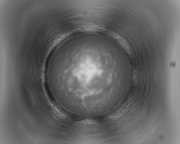 X0000100470578200806131129