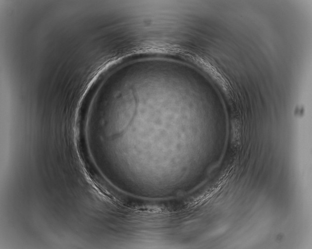 X0000100470580200806131129