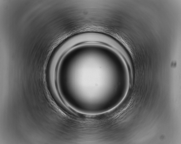 X0000100470581200806131129