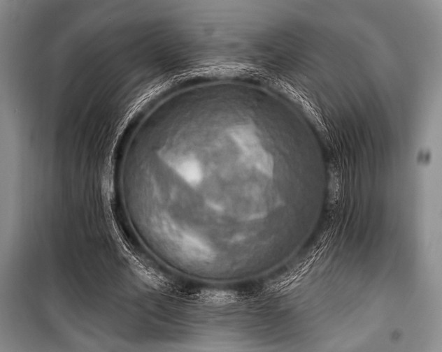 X0000100470582200806131129