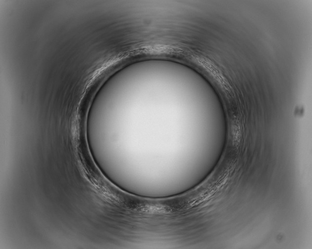 X0000100470583200806131129