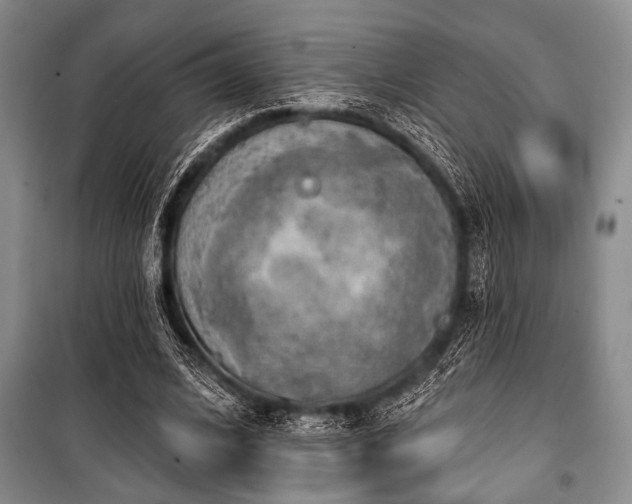 X0000100470584200806131129