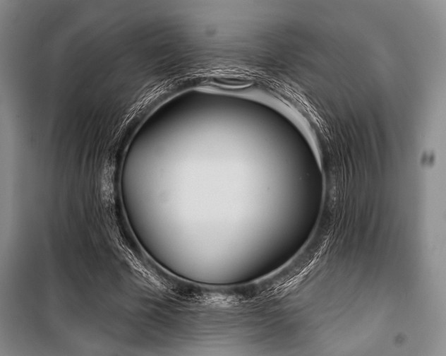 X0000100470585200806131129