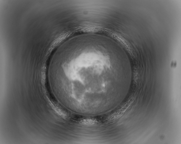 X0000100470586200806131129