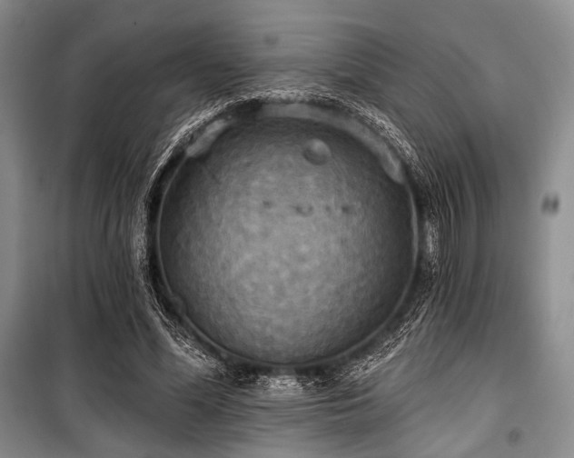 X0000100470588200806131129