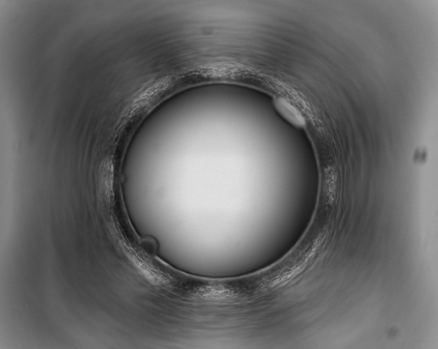 X0000100470589200806131129