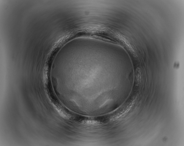 X0000100470590200806131129