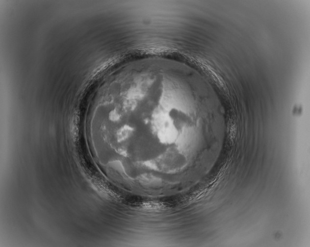 X0000100470591200806131129