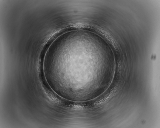 X0000100470592200806131129