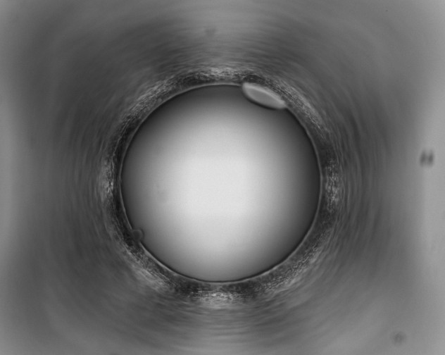 X0000100470593200806131129