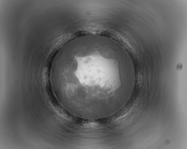 X0000100470594200806131129