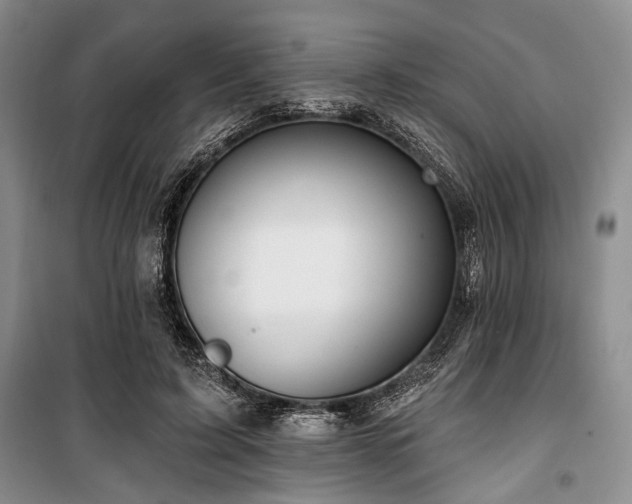 X0000100470595200806131129