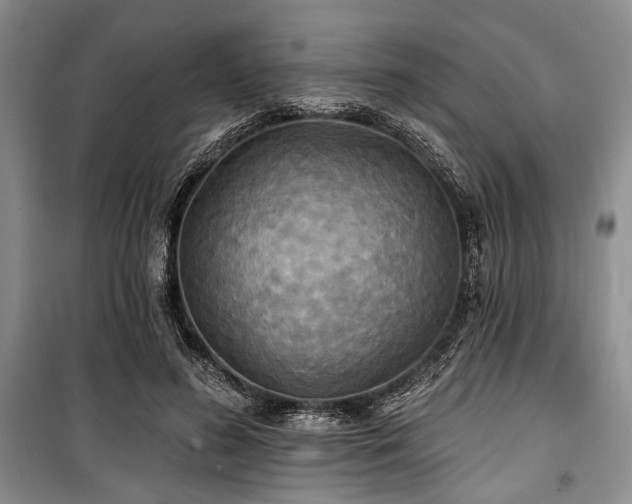 X0000100470596200806131129