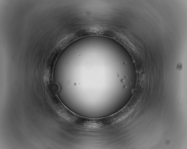 X0000100470597200806131129