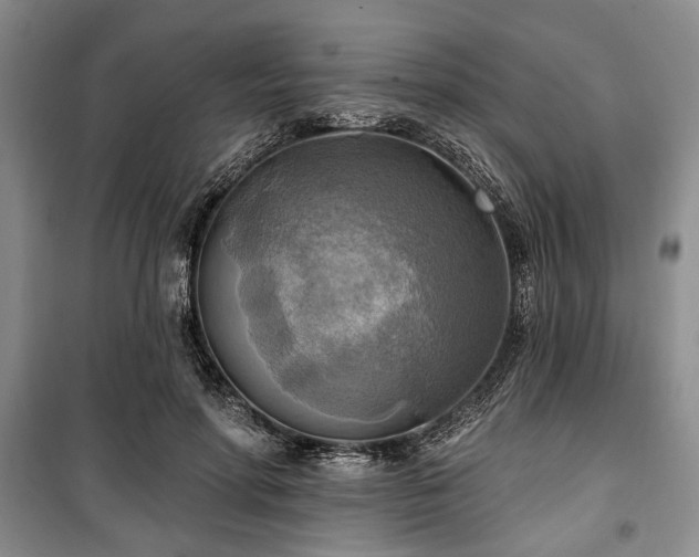 X0000100470598200806131129