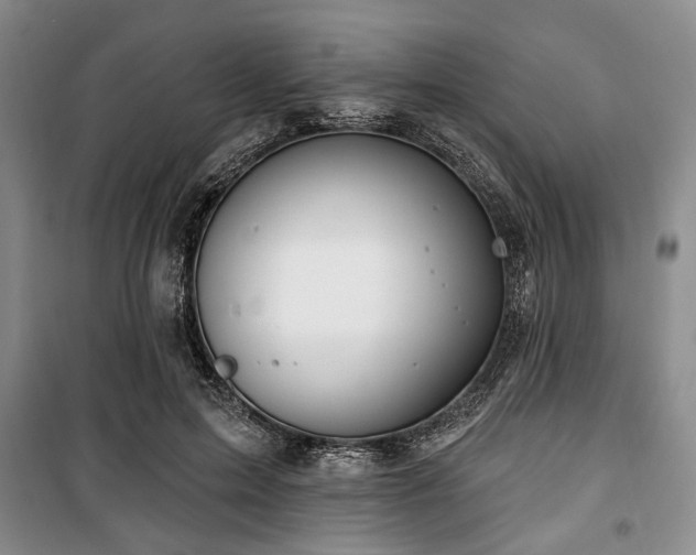 X0000100470599200806131129