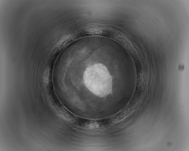 X0000100470600200806131129