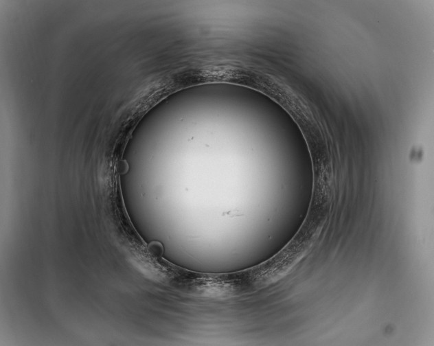 X0000100470601200806131129