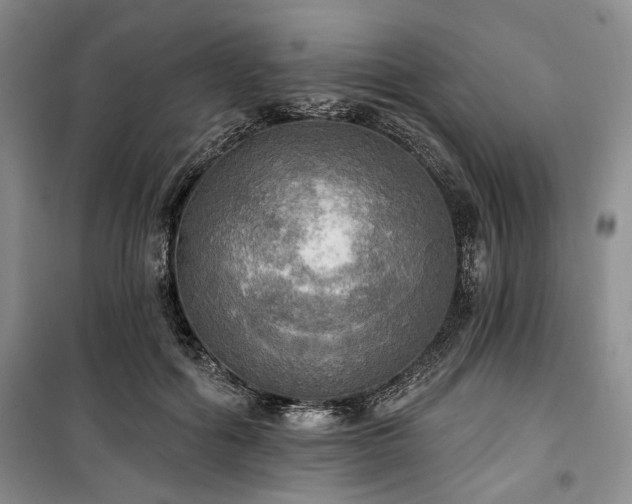 X0000100470602200806131129