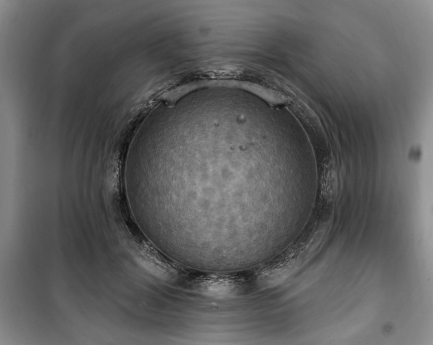 X0000100470604200806131128