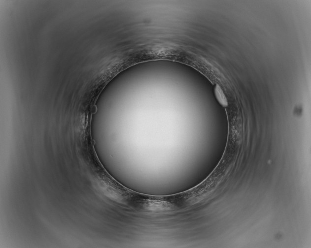 X0000100470605200806131128