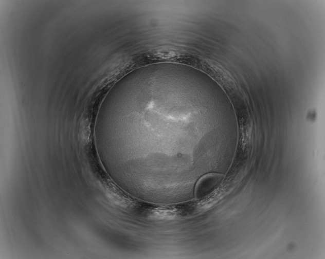 X0000100470606200806131128