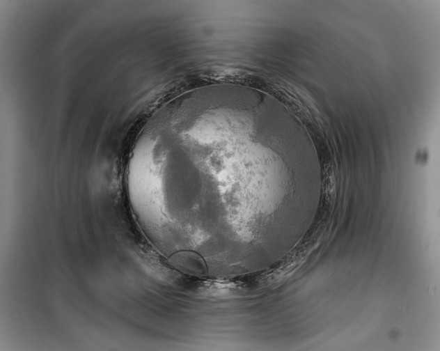 X0000100470607200806131128