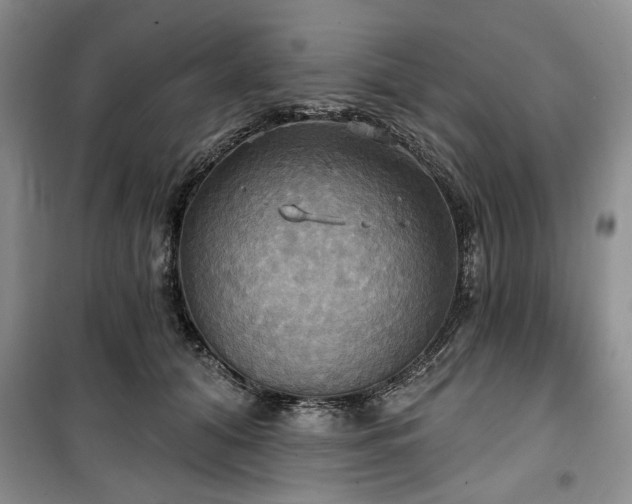 X0000100470608200806131128