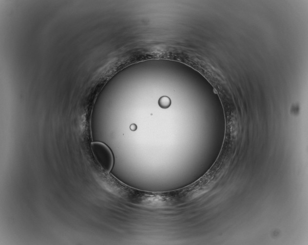 X0000100470611200806131128