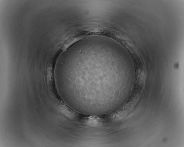 X0000100470612200806131128