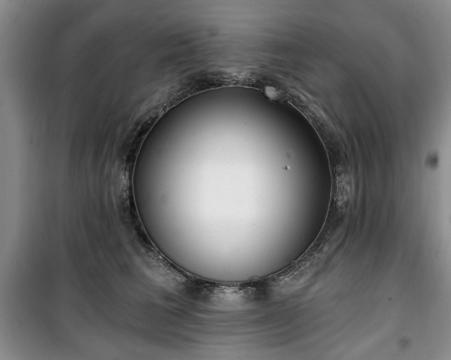 X0000100470613200806131128