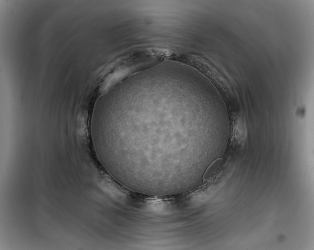 X0000100470616200806131128