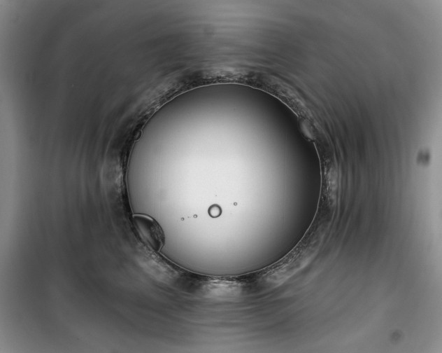 X0000100470617200806131128