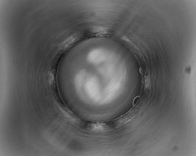 X0000100470618200806131128