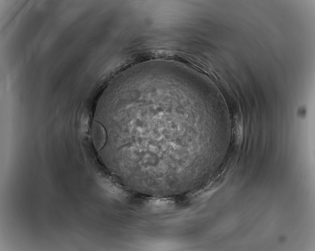 X0000100470619200806131128