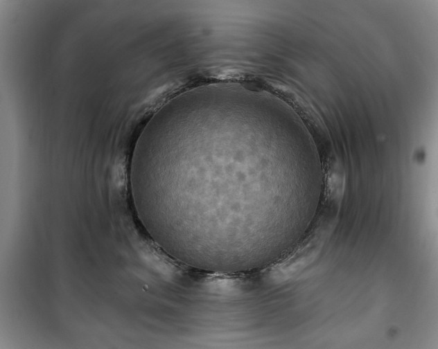 X0000100470620200806131128