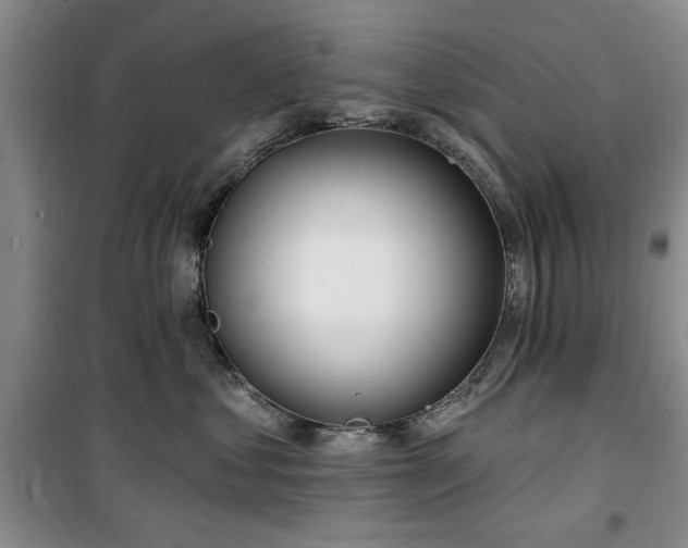 X0000100470621200806131128