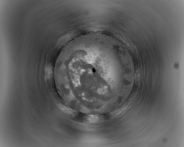 X0000100470623200806131128