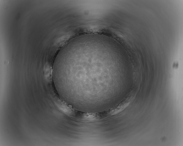 X0000100470624200806131128