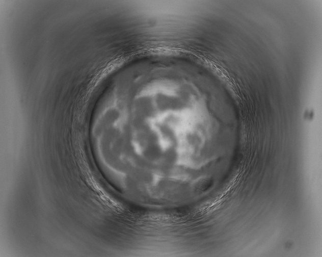 X0000100470625200806131128