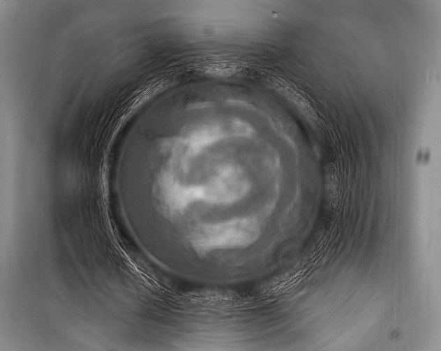 X0000100470626200806131128